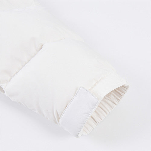 The North Face White and Light Gray Stand-Collar Puffer Jacket