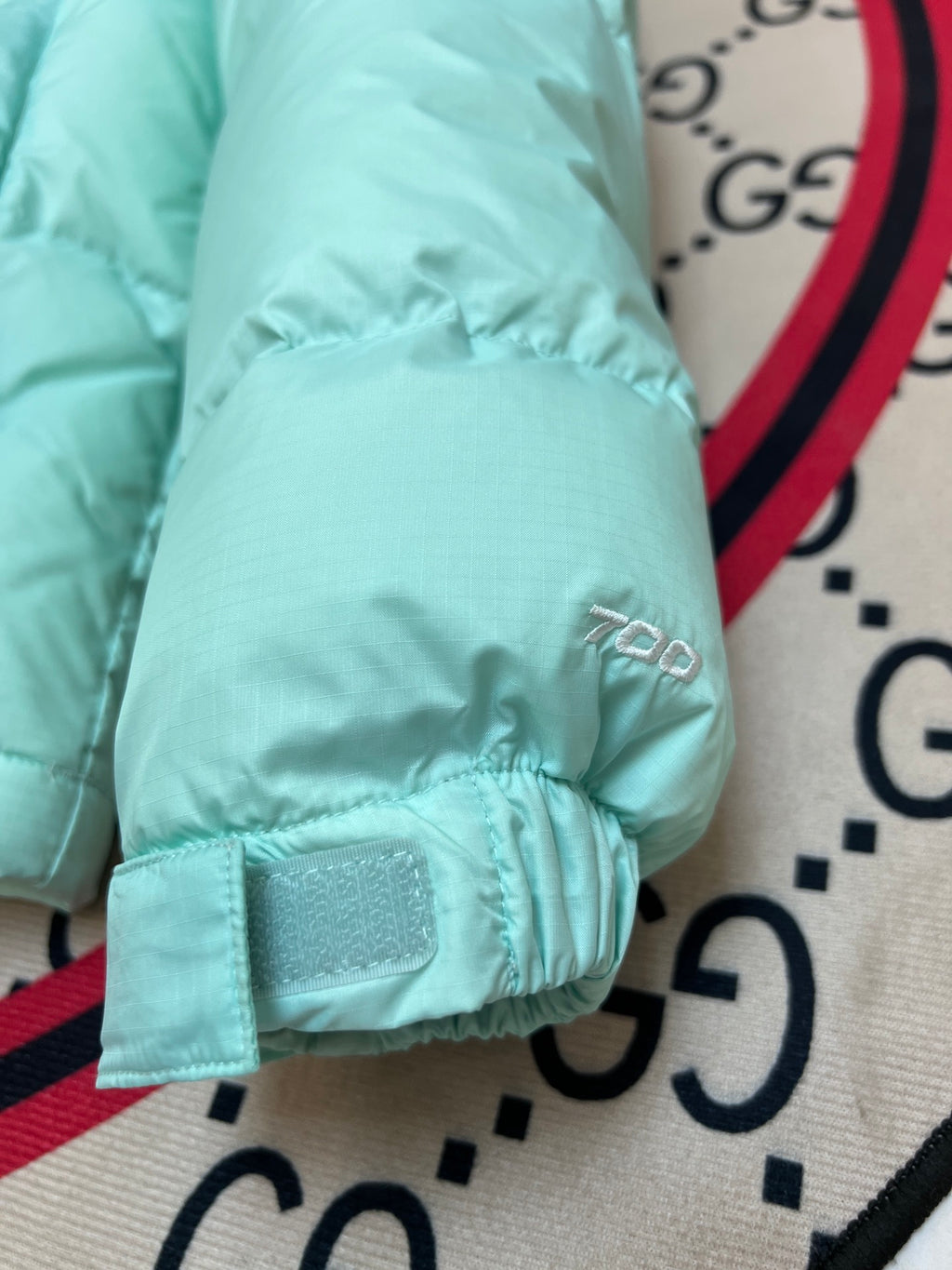 The North Face Quilted Mint Green and Black Stand-Collar Puffer Jacket